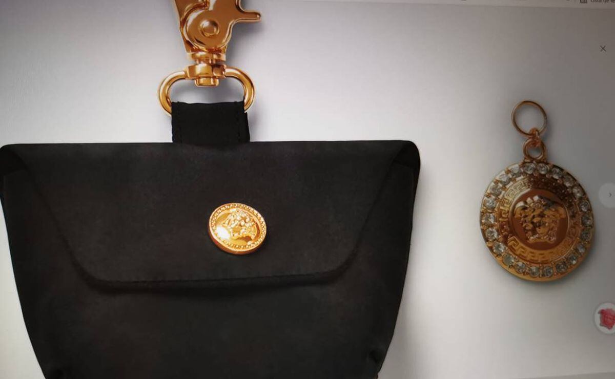 Louis Vuitton vende bolso de lujo para recoger heces de perro