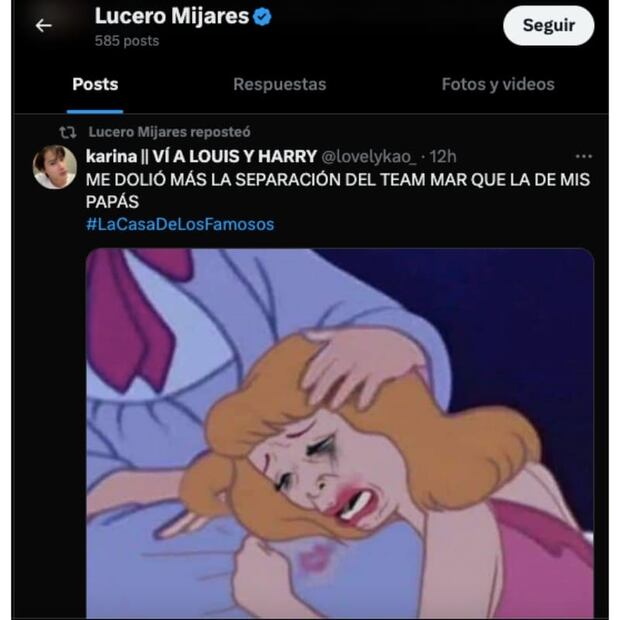 La broma de Lucerito Mijares en redes sociales / Foto: Captura de pantalla